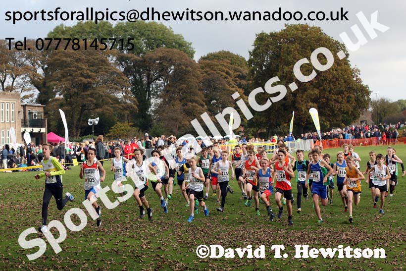 Boys under-13s Northern Cross Country Relays. Photo: David T. Hewitson/Sports for All Pics